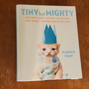 Tiny but Mighty: Kitten Care Guide